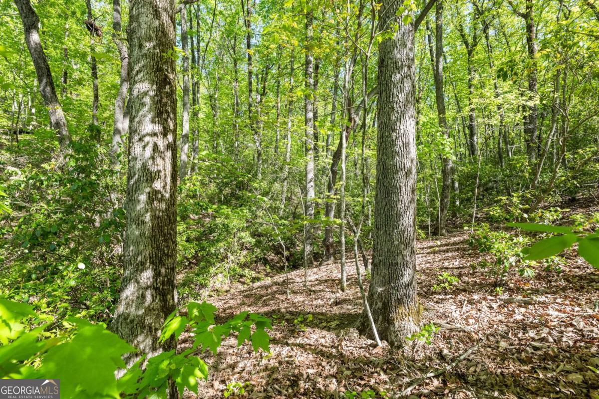 0 Pippin Circle, Unit 635 Clarkesville, GA 30523 - Photo 7 of 20 a view of a garden