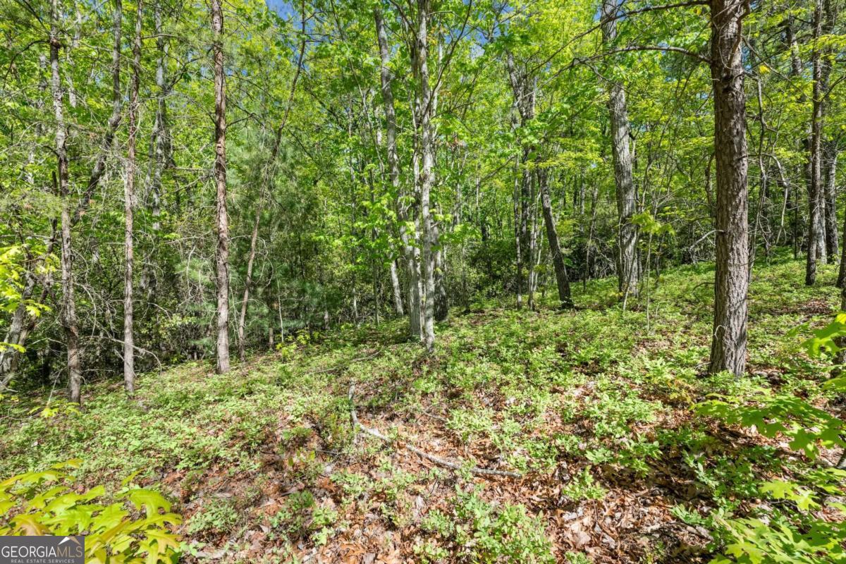 0 Pippin Circle, Unit 635 Clarkesville, GA 30523 - Photo 9 of 20