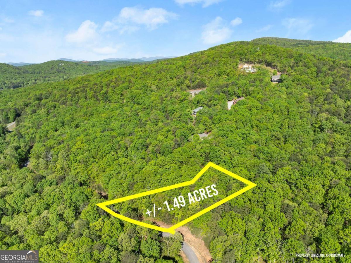 0 Pippin Circle, Unit 635 Clarkesville, GA 30523 - Photo 10 of 20 a view of a field with plants