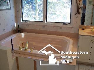 11620 Secor Road Petersburg, MI 49270 - Photo 11 of 30 839522-10.JPG