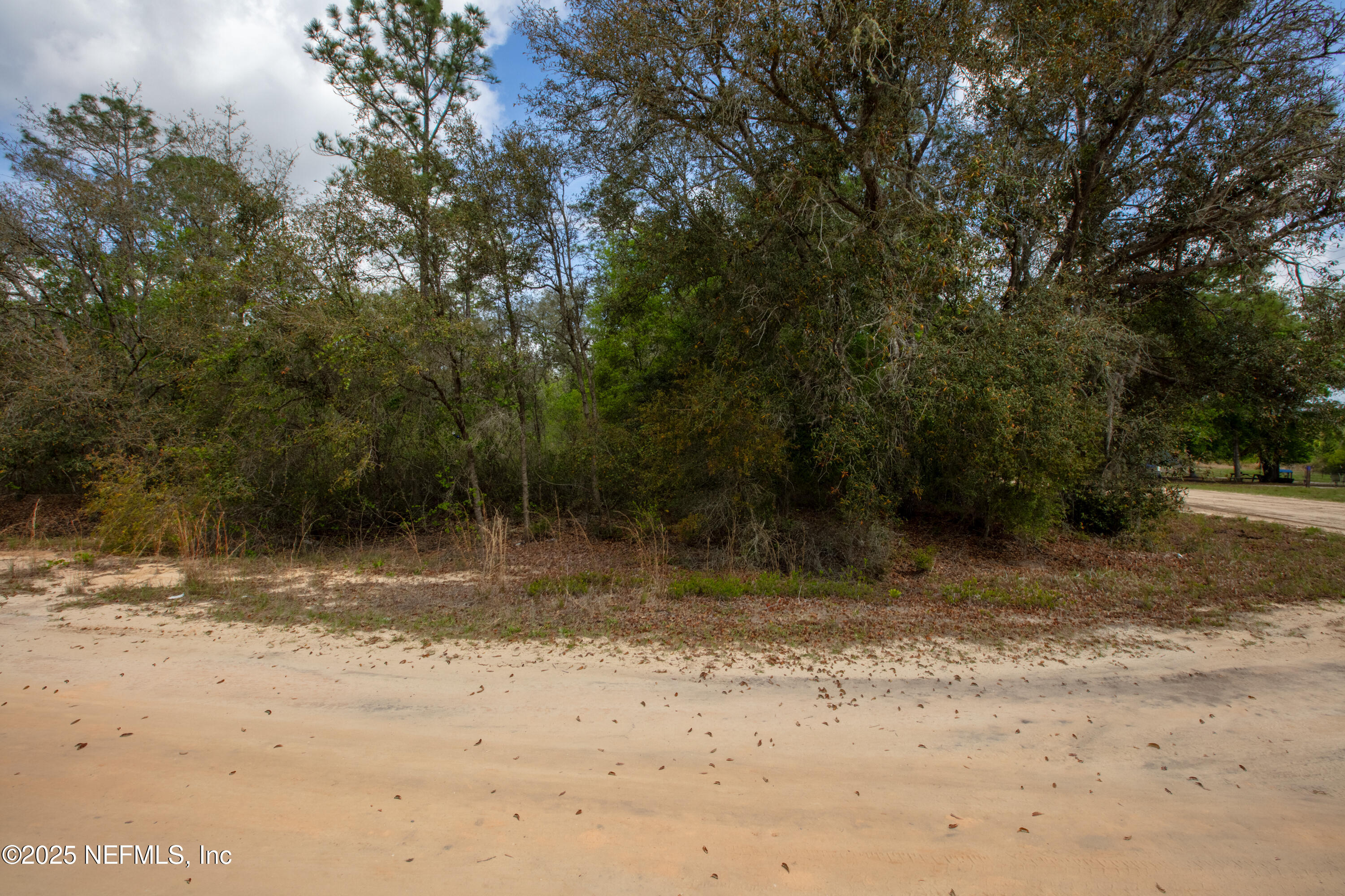 5491 Jefferson Street Keystone Heights, FL 32656 - Photo 12 of 14 a view of a yard with a tree