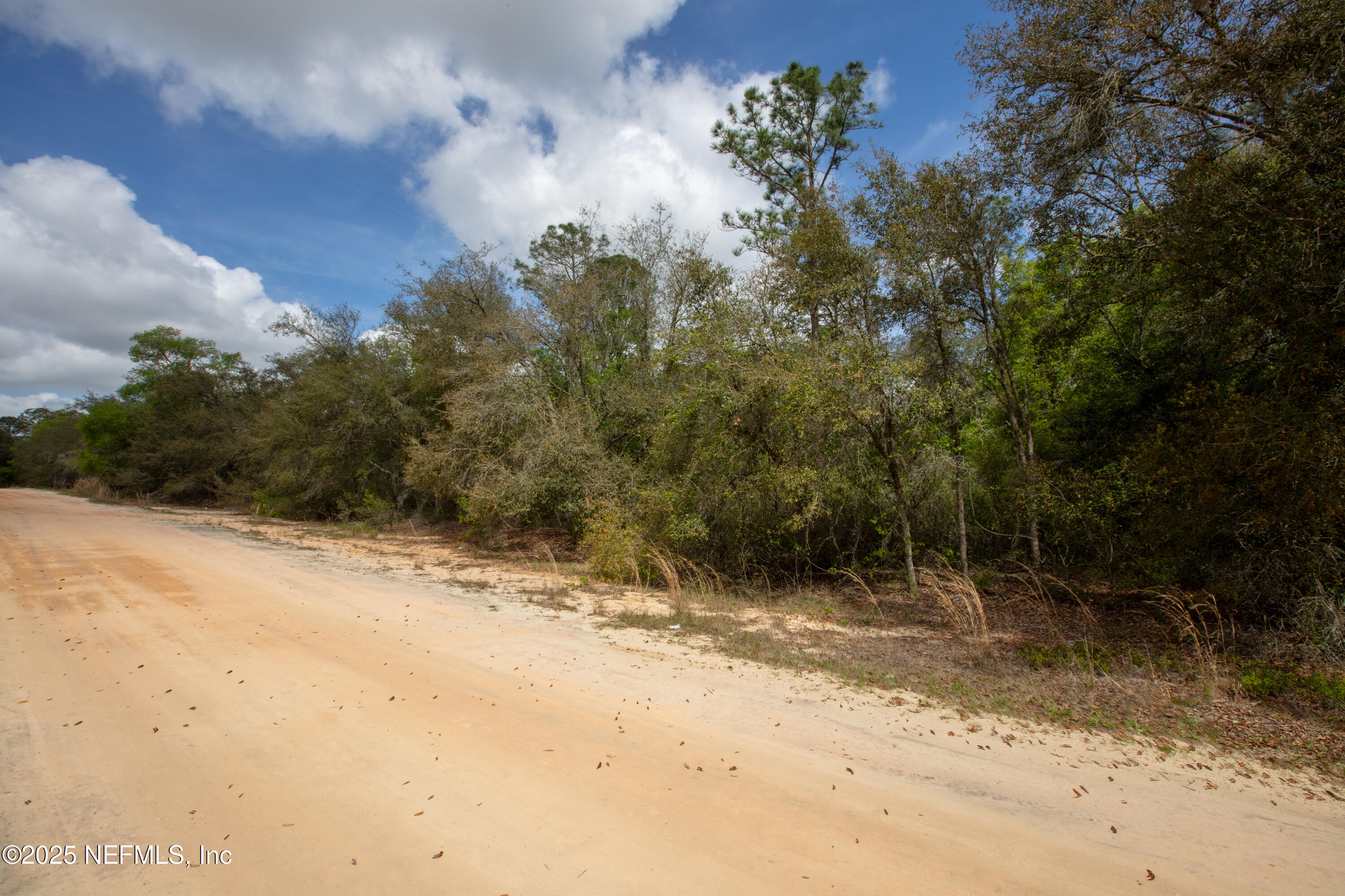 5491 Jefferson Street Keystone Heights, FL 32656 - Photo 14 of 14 a view of a yard with a tree