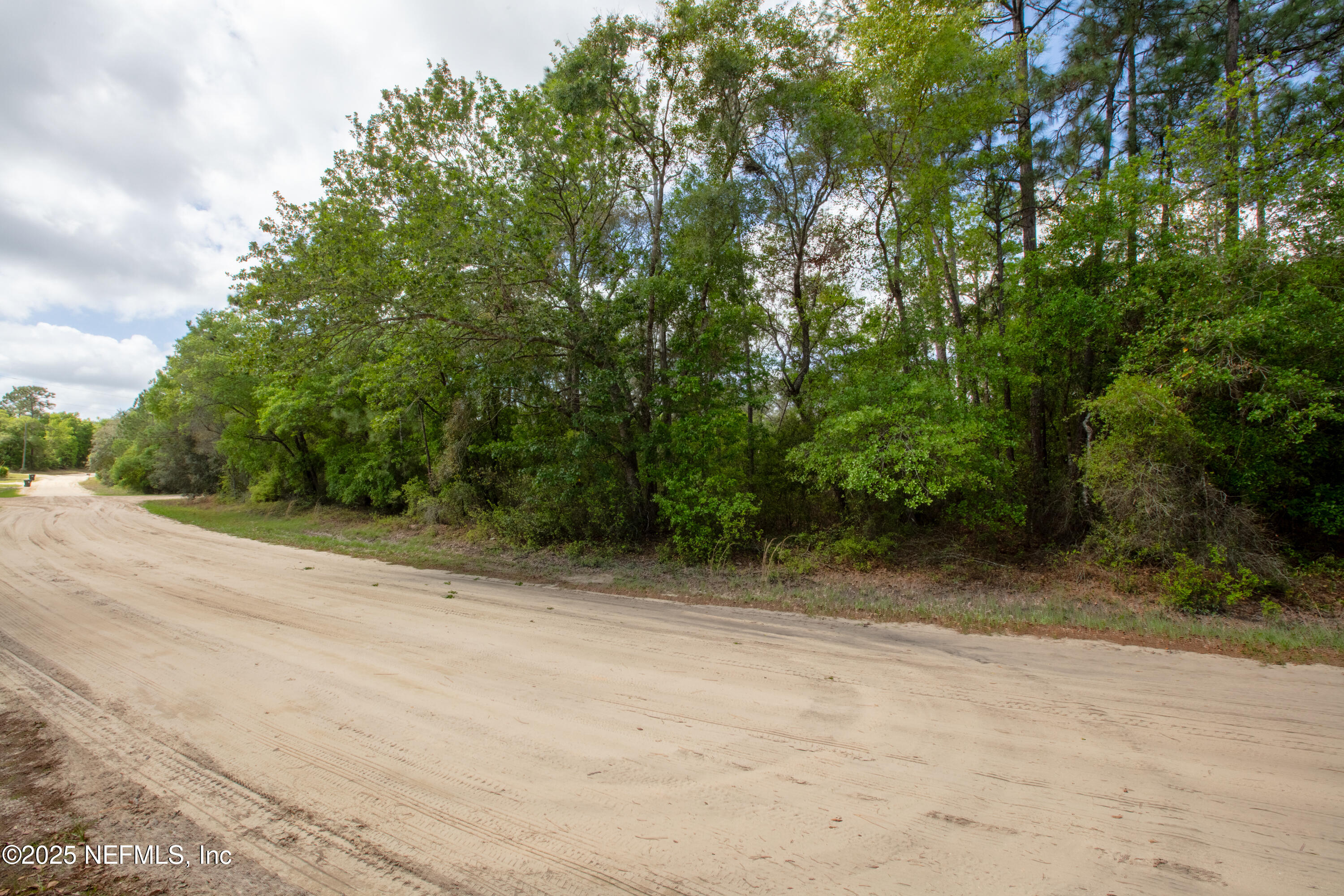 5491 Jefferson Street Keystone Heights, FL 32656 - Photo 8 of 14 a view of a field with trees in the background