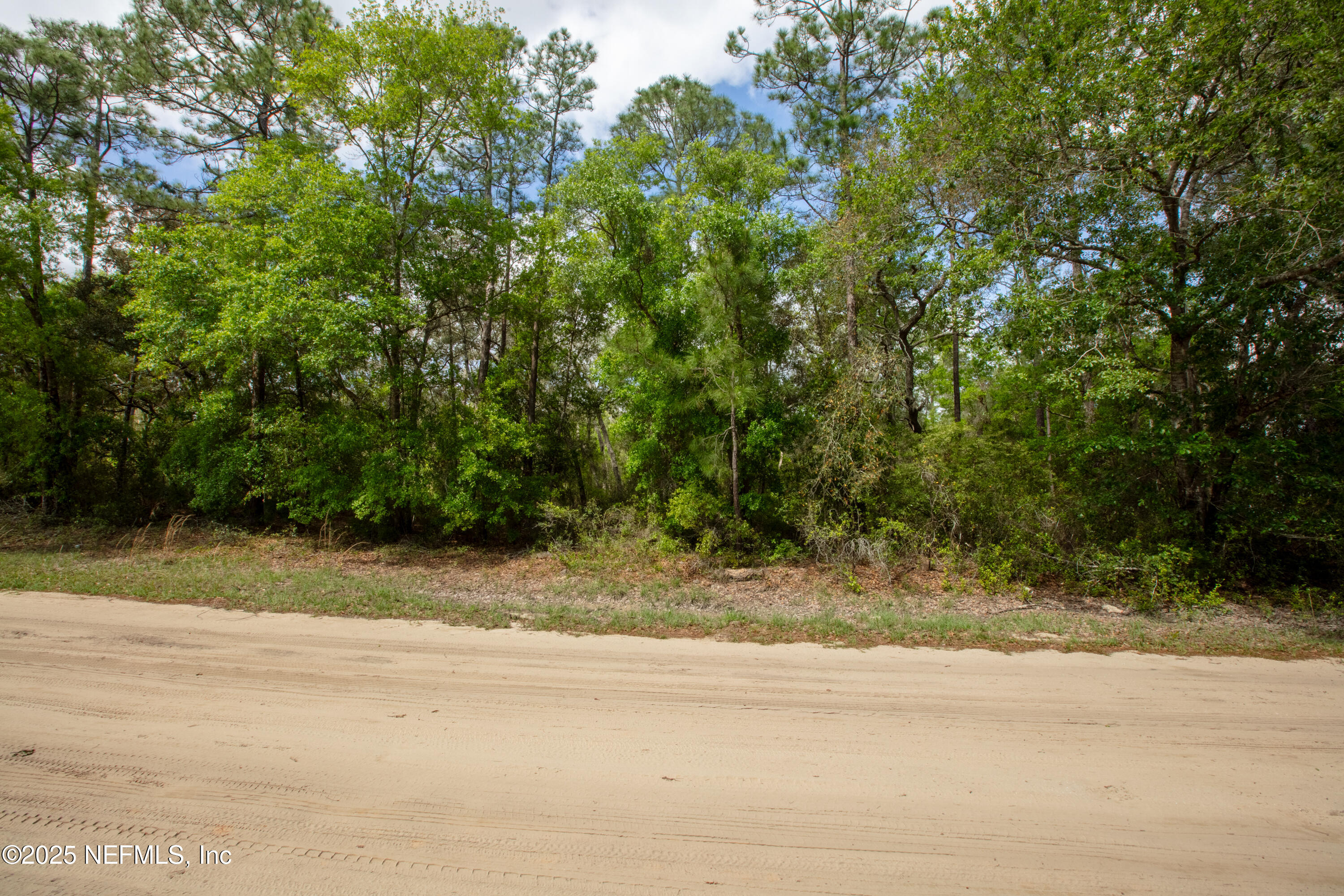 5491 Jefferson Street Keystone Heights, FL 32656 - Photo 9 of 14 a view of swimming pool with a yard