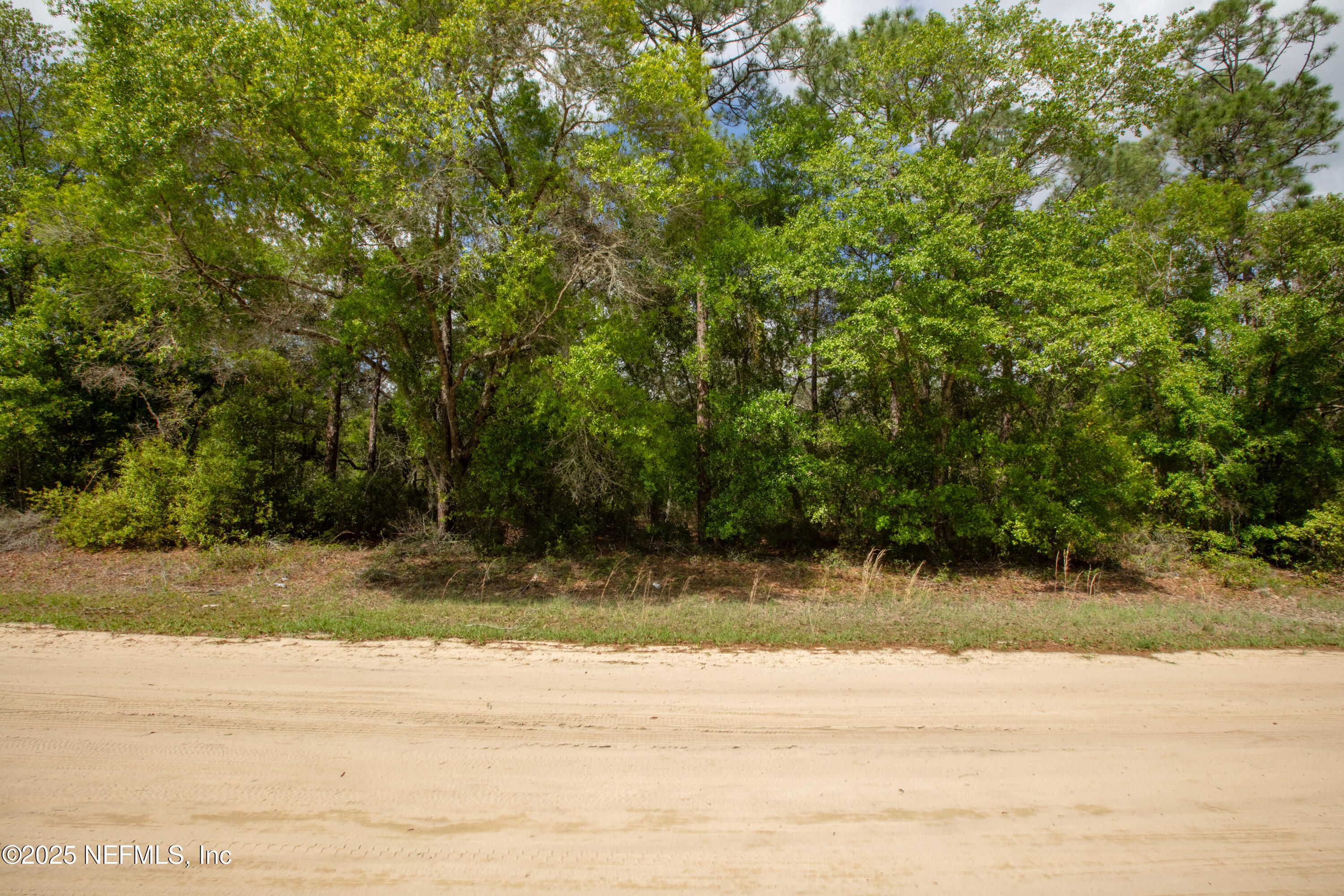 5491 Jefferson Street Keystone Heights, FL 32656 - Photo 10 of 14 a view of a yard with a barn