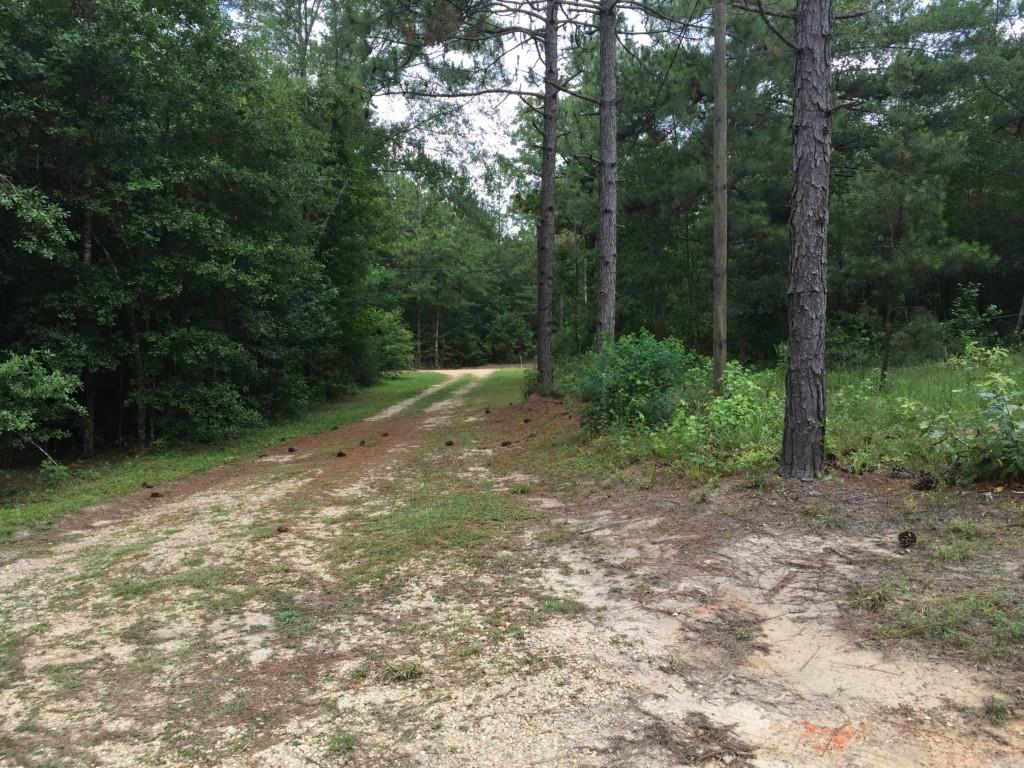 68002 Walker Road Kentwood, LA 70444 - Photo 2 of 25 Gallery Image 2