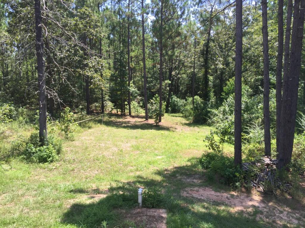 68002 Walker Road Kentwood, LA 70444 - Photo 21 of 25 Gallery Image 21