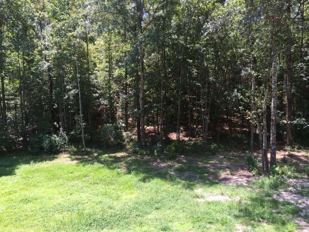 68002 Walker Road Kentwood, LA 70444 - Photo 25 of 25 Gallery Image 25