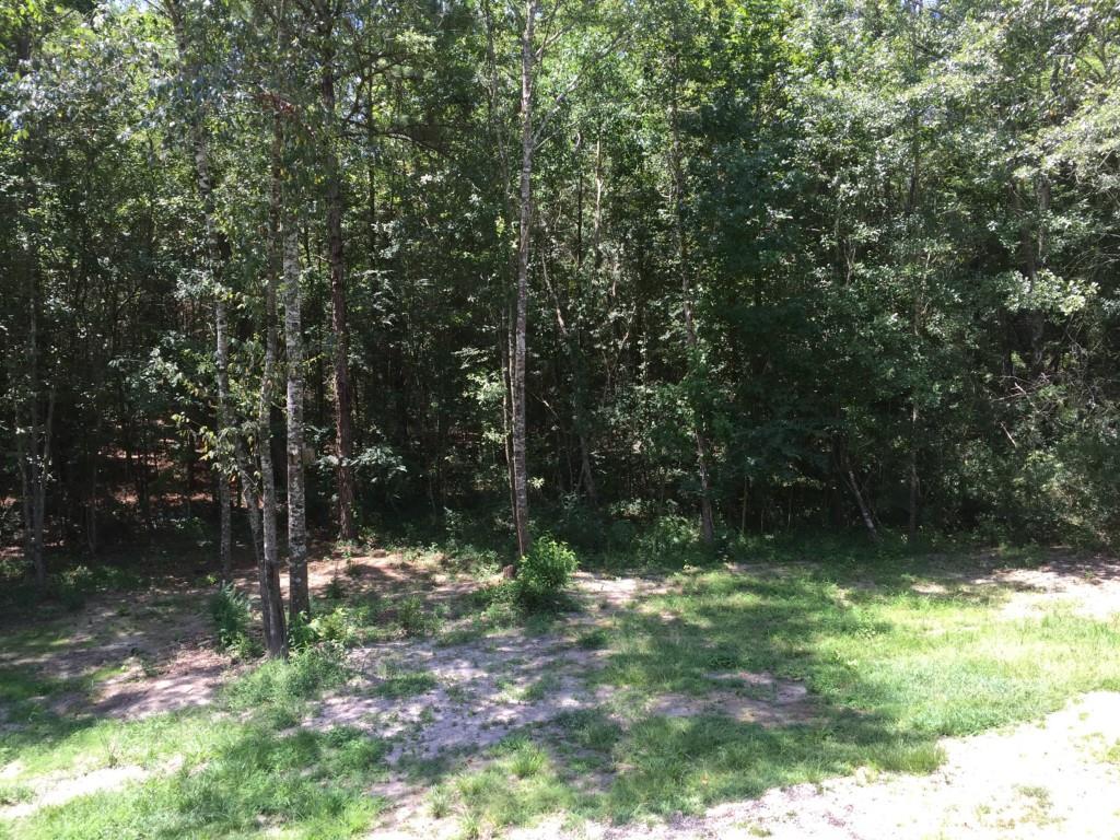 68002 Walker Road Kentwood, LA 70444 - Photo 3 of 25 Gallery Image 3