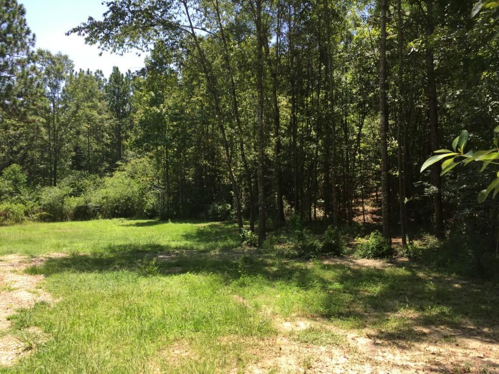 68002 Walker Road Kentwood, LA 70444 - Photo 4 of 25 Gallery Image 4