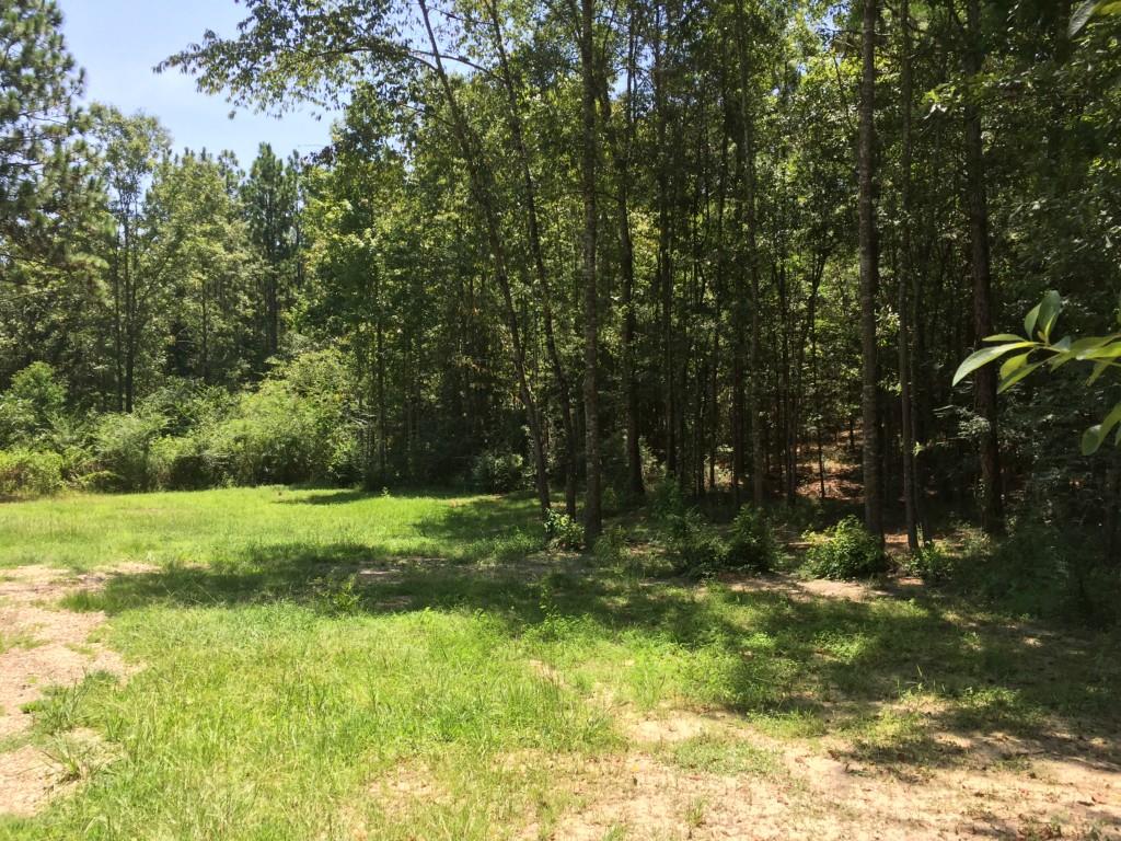 68002 Walker Road Kentwood, LA 70444 - Photo 5 of 25 Gallery Image 5