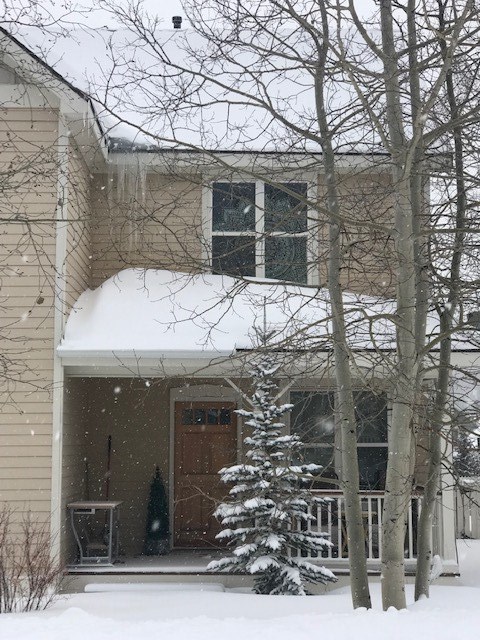 42 Union Mill Road Breckenridge, CO 80424 - Photo 1 of 2 Gallery Image 1