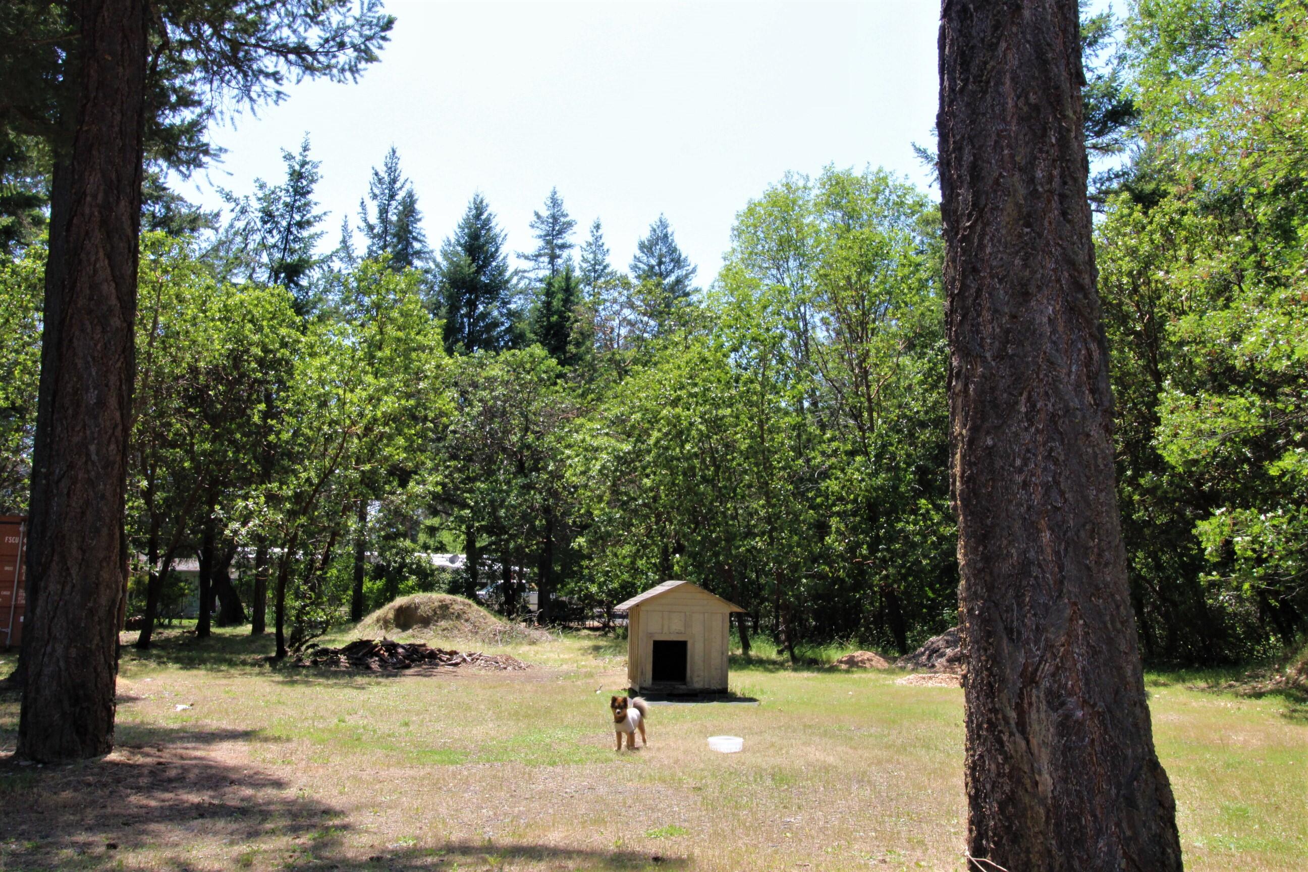 417 Thompson Creek Road Jacksonville, OR 97530 - Photo 28 of 37 417 dog house