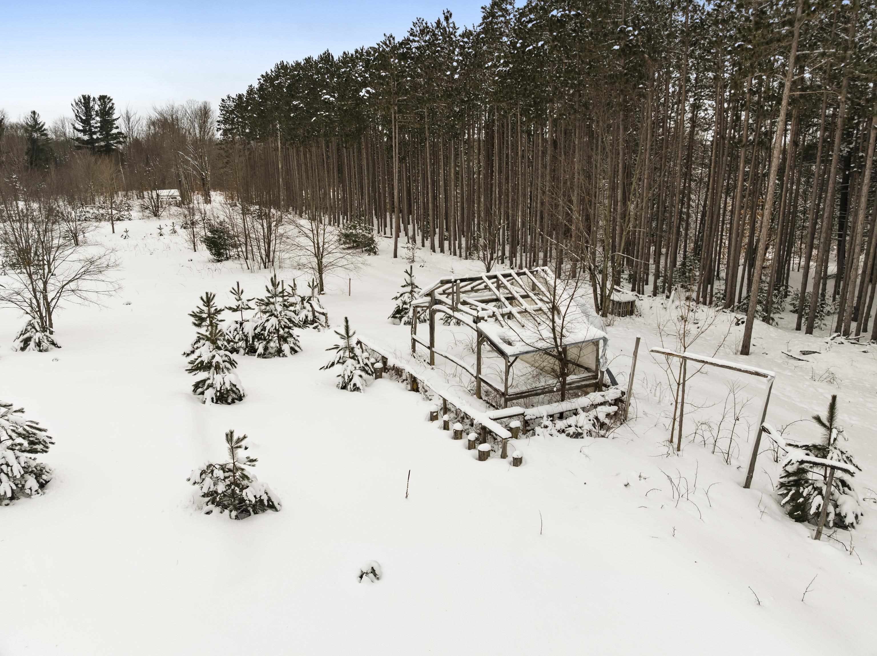 0 Landis Road, Unit LANDIS Thompsonville, MI 49683 - Photo 1 of 9