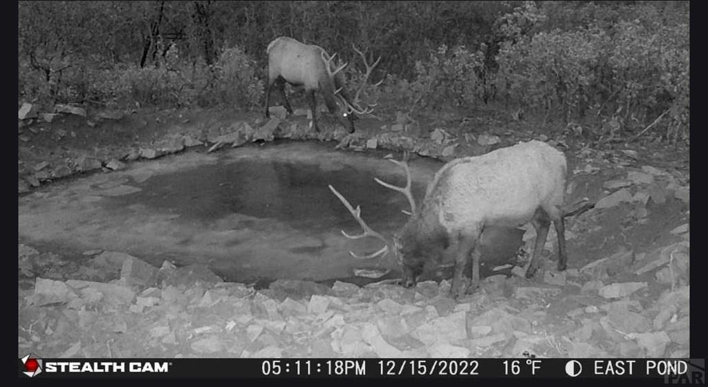 2004 Bear Springs Road Walsenburg, CO 81089 - Photo 21 of 68