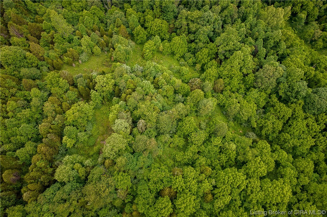 7165 East Knight Road Milltown, IN 47145 - Photo 5 of 15