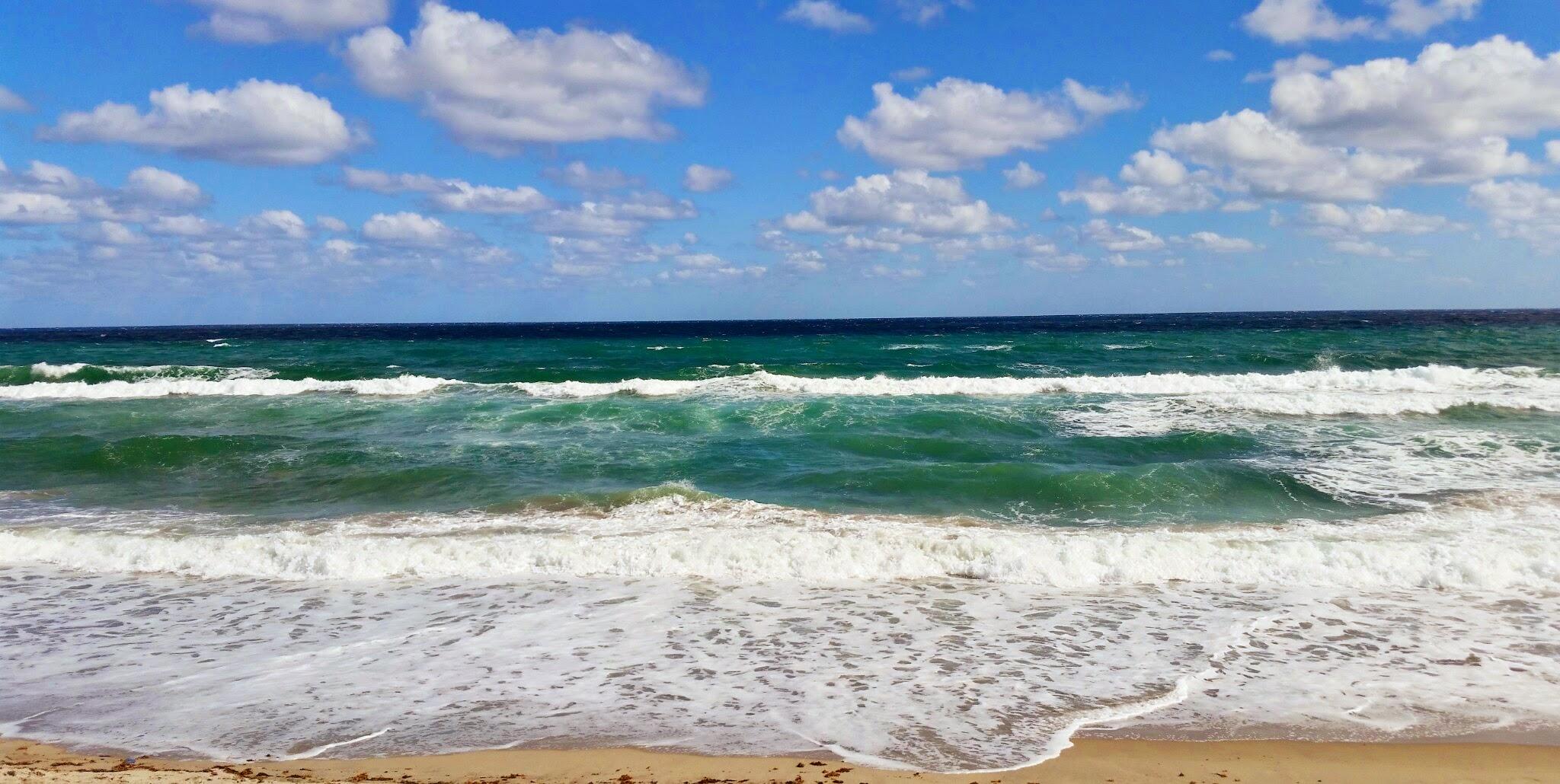 275 Northeast 5th Street Boca Raton, FL 33432 - Photo 42 of 43 beach