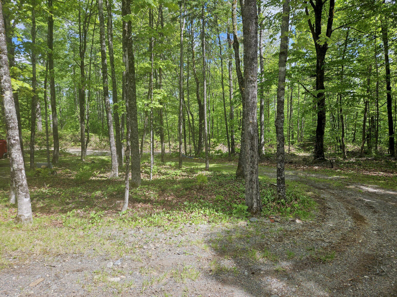 284 Frank Savage Road Bingham, ME 04920 - Photo 20 of 27 20260530_142400_result