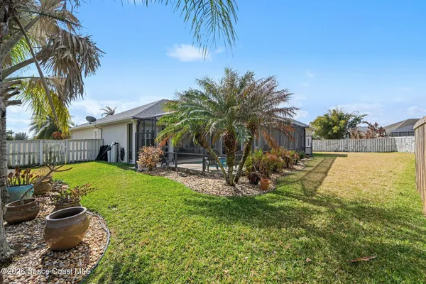a view of a backyard with plants and palm tree