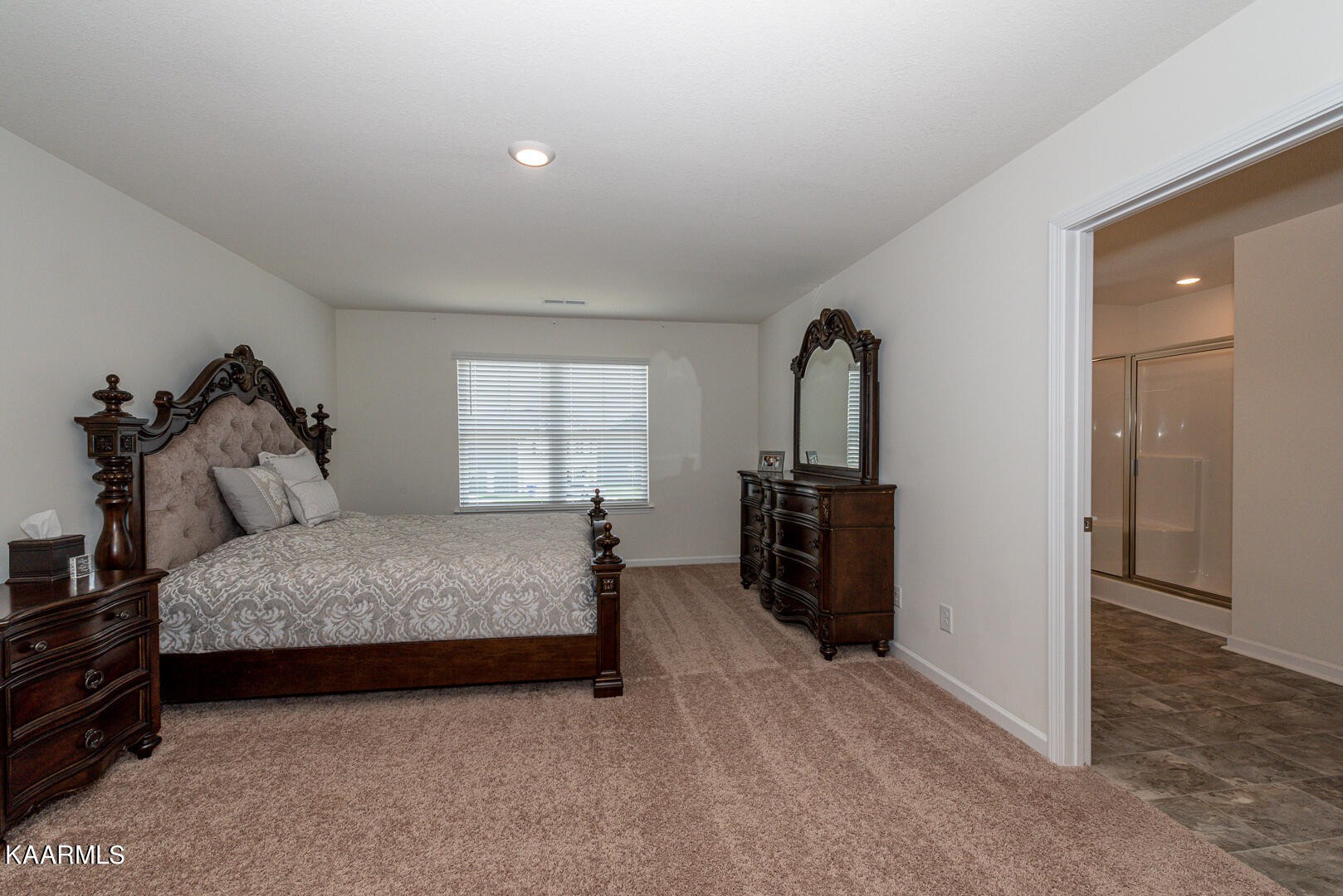 1606 River Poppy Road Mascot, TN 37806 - Photo 29 of 58 Gallery Image 29