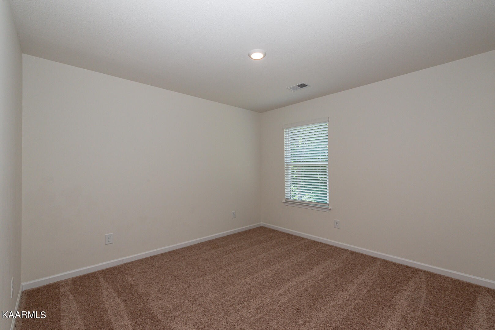 1606 River Poppy Road Mascot, TN 37806 - Photo 43 of 58 Gallery Image 43