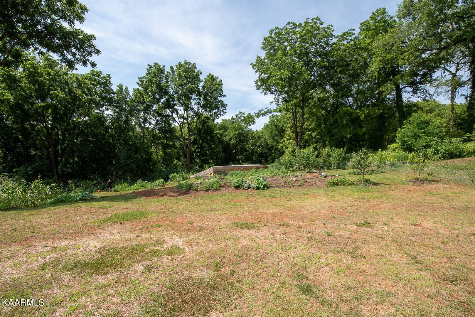 1606 River Poppy Road Mascot, TN 37806 - Photo 50 of 58 Gallery Image 50