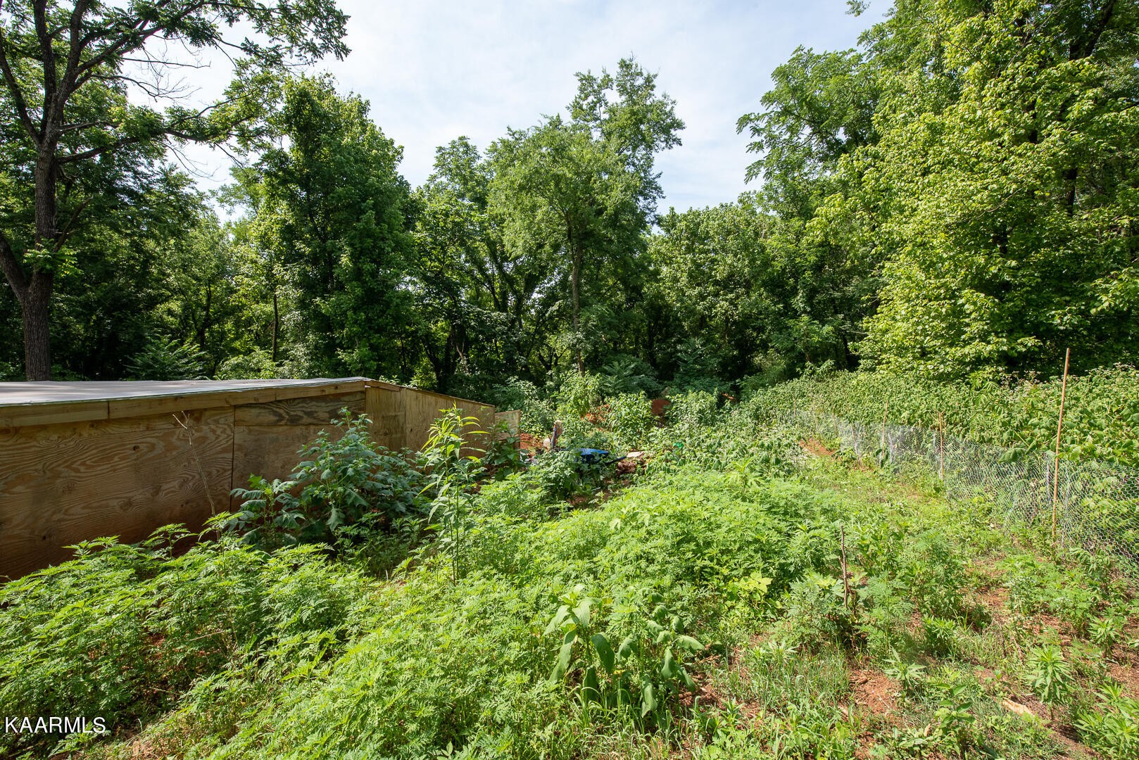 1606 River Poppy Road Mascot, TN 37806 - Photo 53 of 58 Gallery Image 53