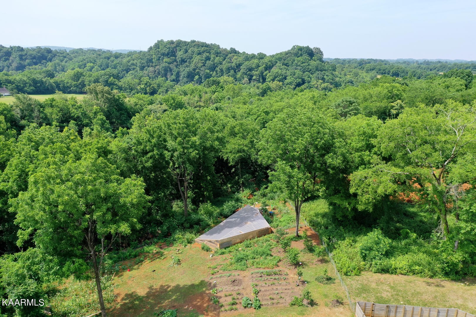 1606 River Poppy Road Mascot, TN 37806 - Photo 6 of 58 Gallery Image 6