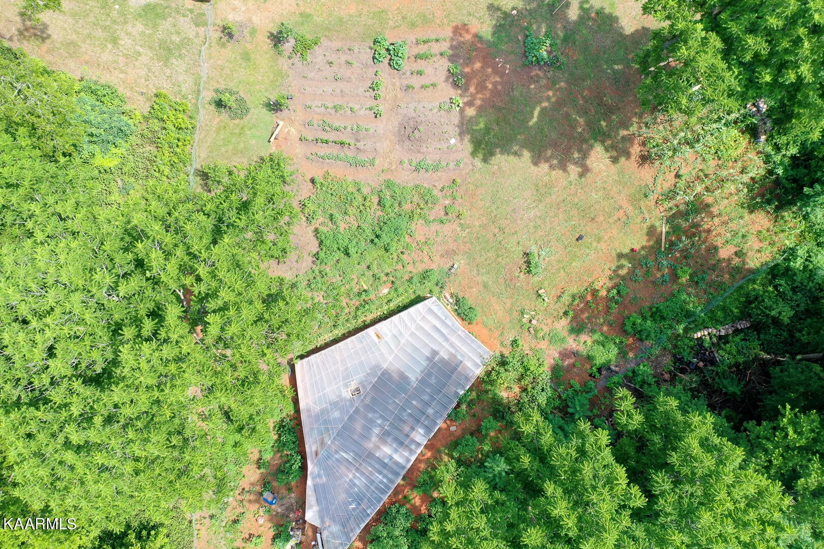1606 River Poppy Road Mascot, TN 37806 - Photo 10 of 58 Gallery Image 10