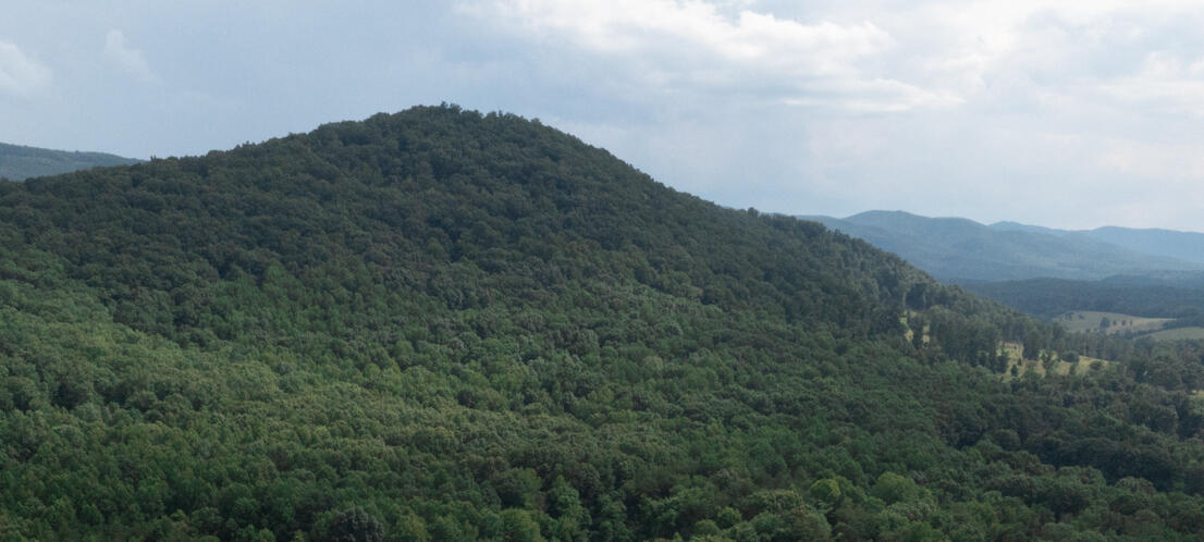 0 Gorge Road Buchanan, VA 24066 - Photo 8 of 9 a view of a dry yard with mountains in the background