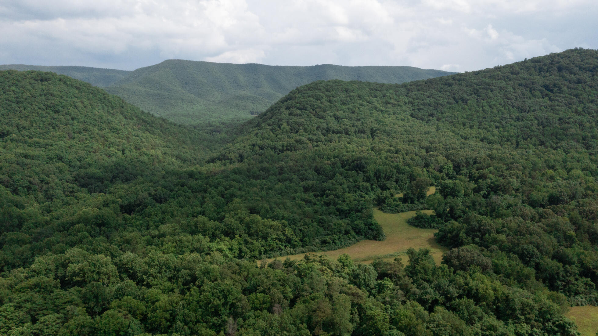 0 Gorge Road Buchanan, VA 24066 - Photo 9 of 9 a view of a lush green forest with trees in the background