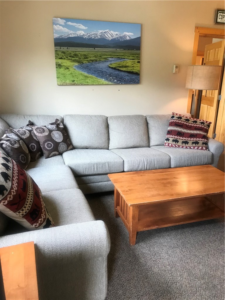 910 Copper Road, Unit 319 Frisco, CO 80443 - Photo 11 of 31 Gallery Image 11