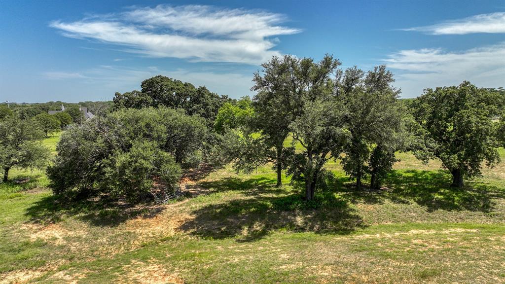 2701 Powell Cemetery Road Tolar, TX 76476 - Photo 15 of 18 a view of a yard