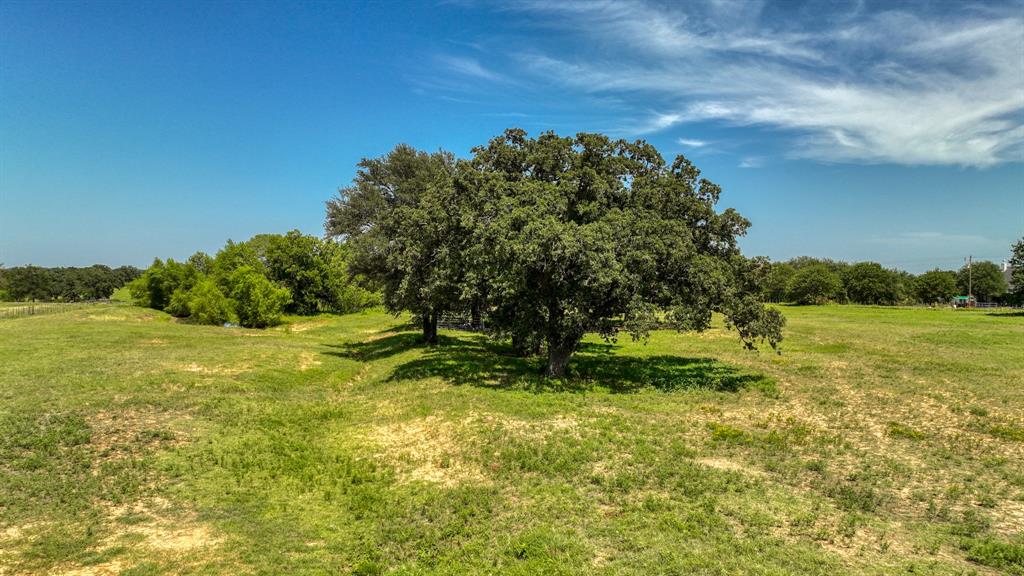 2701 Powell Cemetery Road Tolar, TX 76476 - Photo 4 of 18 a view of a field with an trees