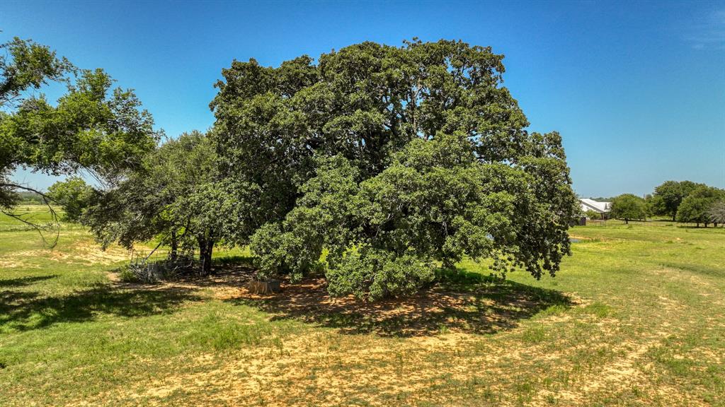2701 Powell Cemetery Road Tolar, TX 76476 - Photo 5 of 18 a view of a yard with a tree