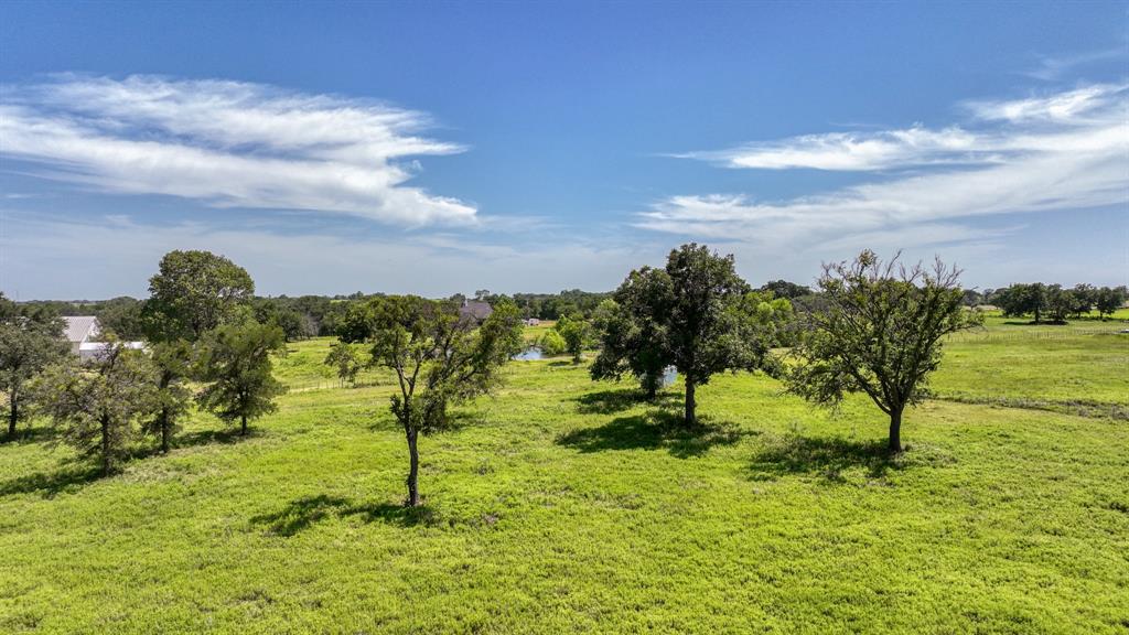 2701 Powell Cemetery Road Tolar, TX 76476 - Photo 10 of 18 a view of a garden with an trees