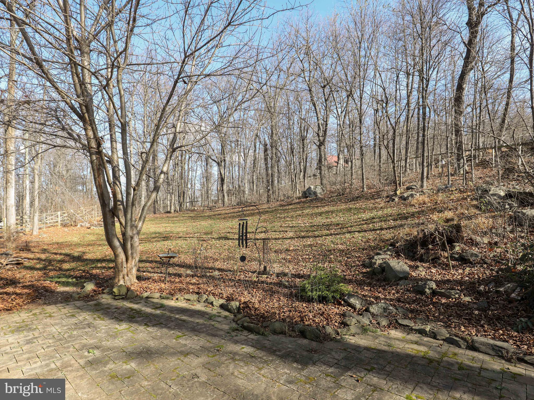 16 Chestnut Trail Road Front Royal, VA 22630 - Photo 44 of 51 Gallery Image 44