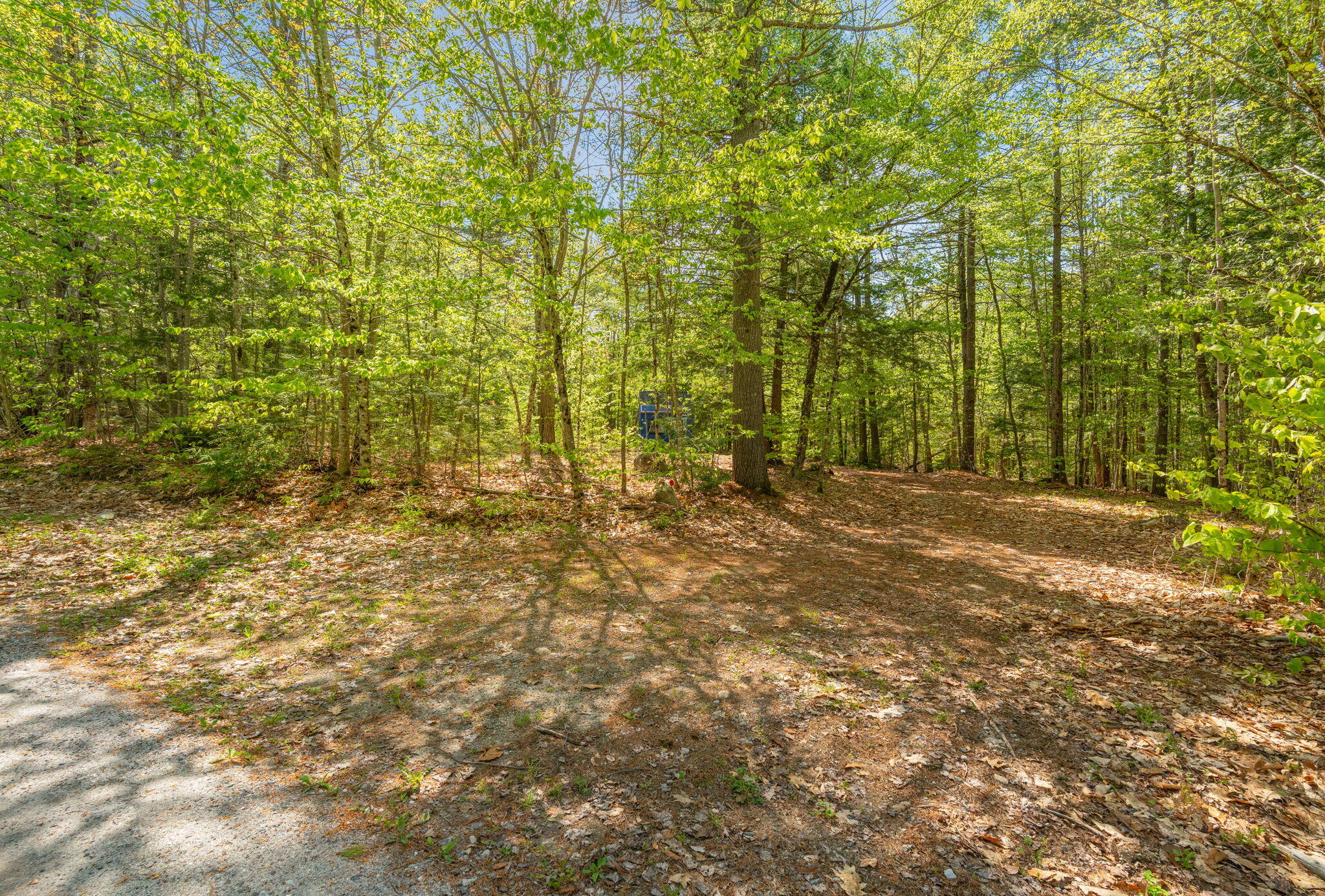 158 Rocky Road Otisfield, ME 04270 - Photo 6 of 23 26-web-or-mls-158-rocky-rd