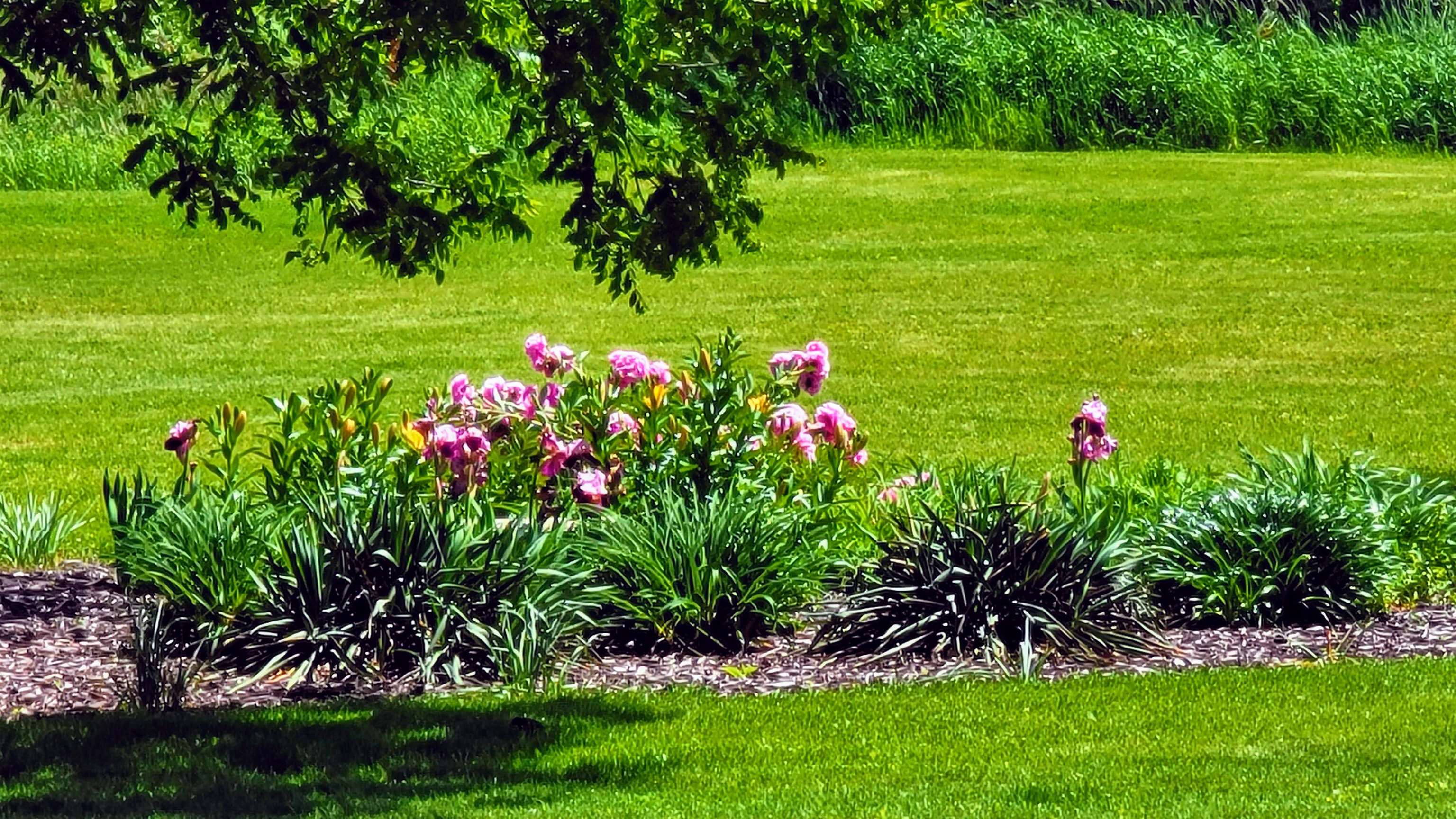 301 Edenview Eden, WI 53019 - Photo 5 of 10