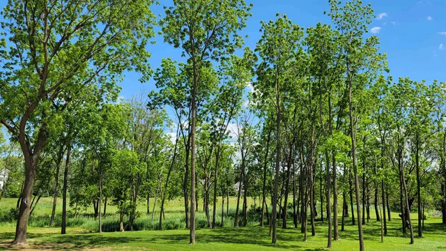 $374,900 | 301 Edenview, Eden, WI 53019