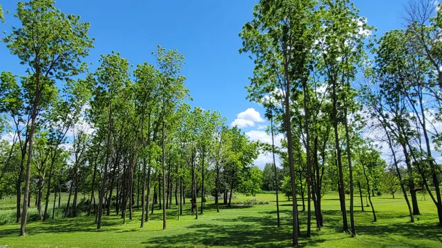 $374,900 | 301 Edenview, Eden, WI 53019