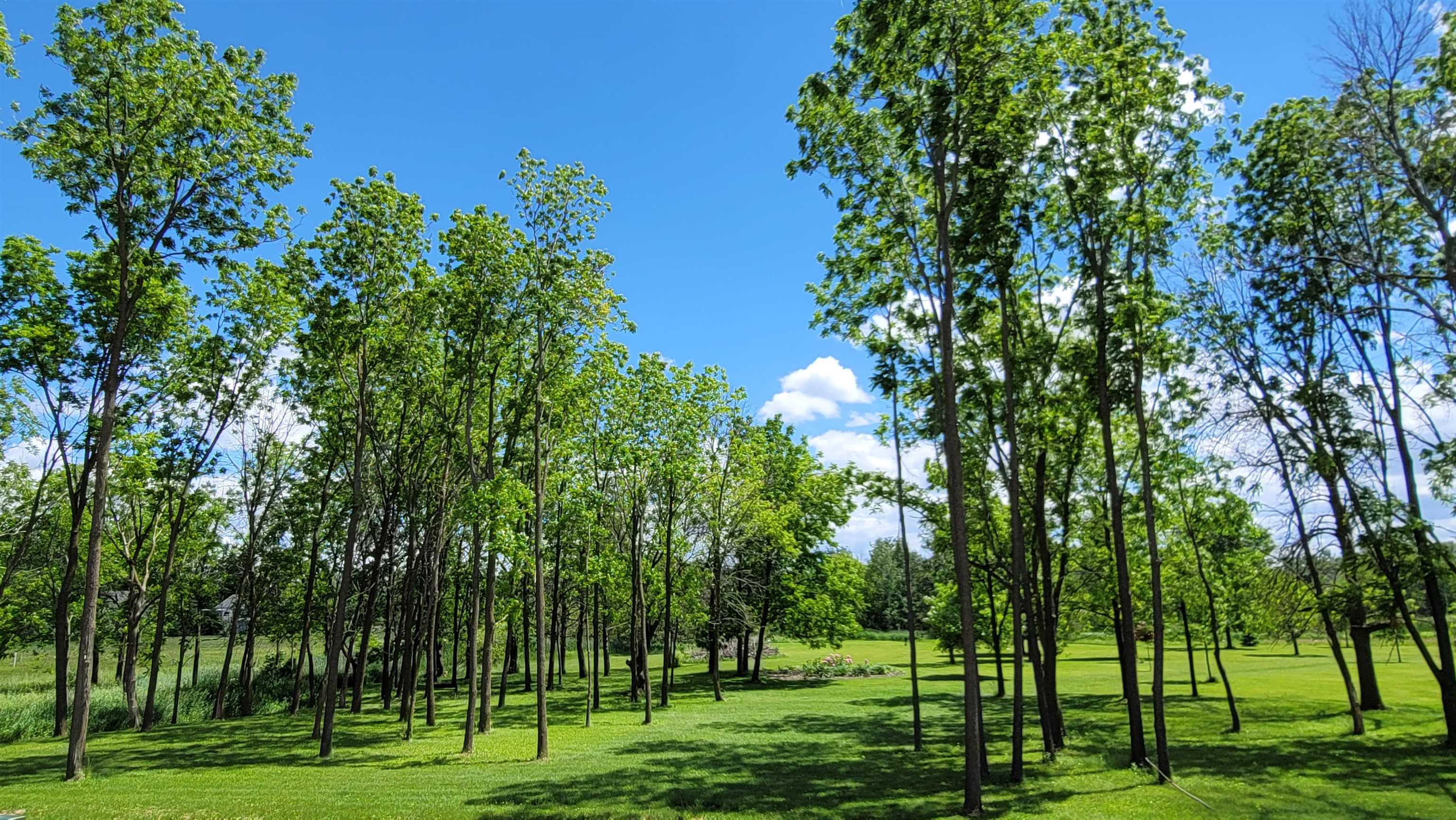 301 Edenview Eden, WI 53019 - Photo 8 of 10