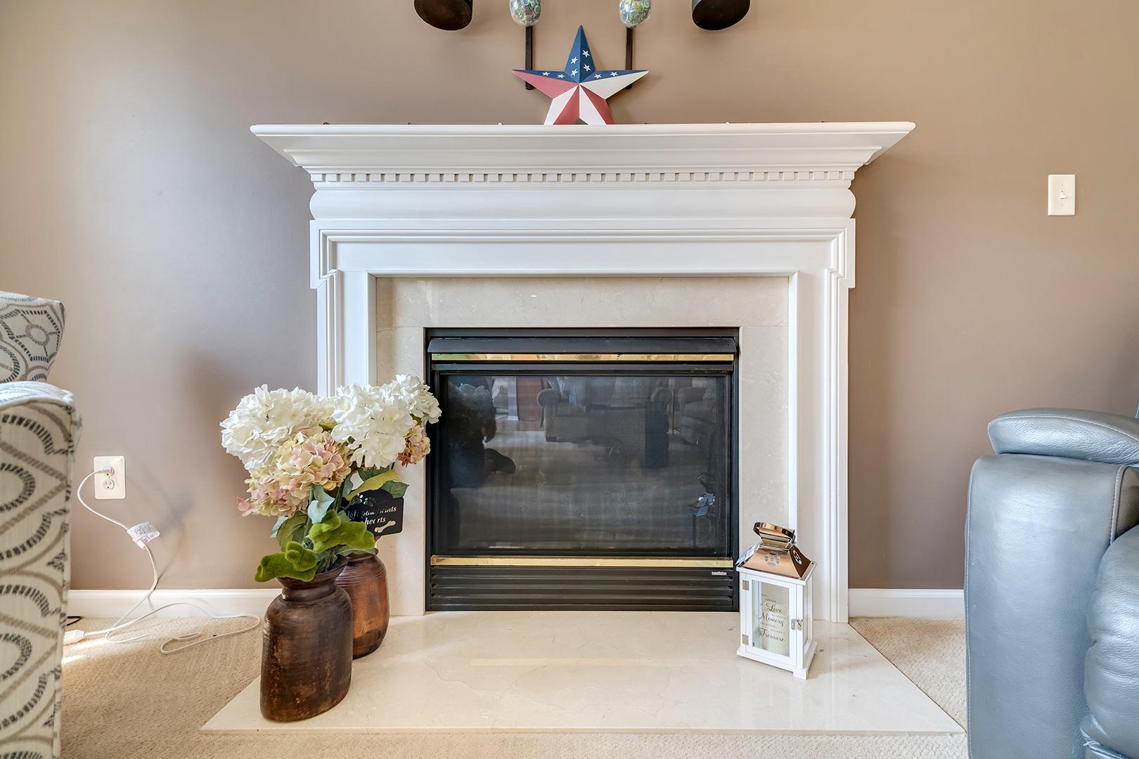 114 Lister Lane Ridgely, MD 21660 - Photo 13 of 78 Gas fireplace