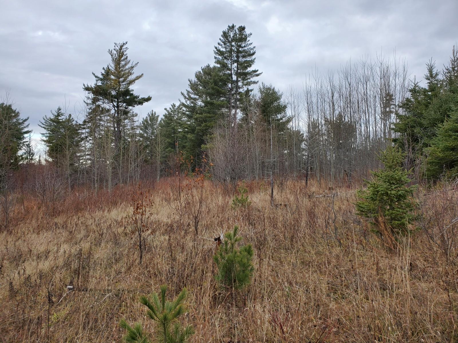 101 Allen Road Presque Isle, ME 04769 - Photo 4 of 10 20201202_092636