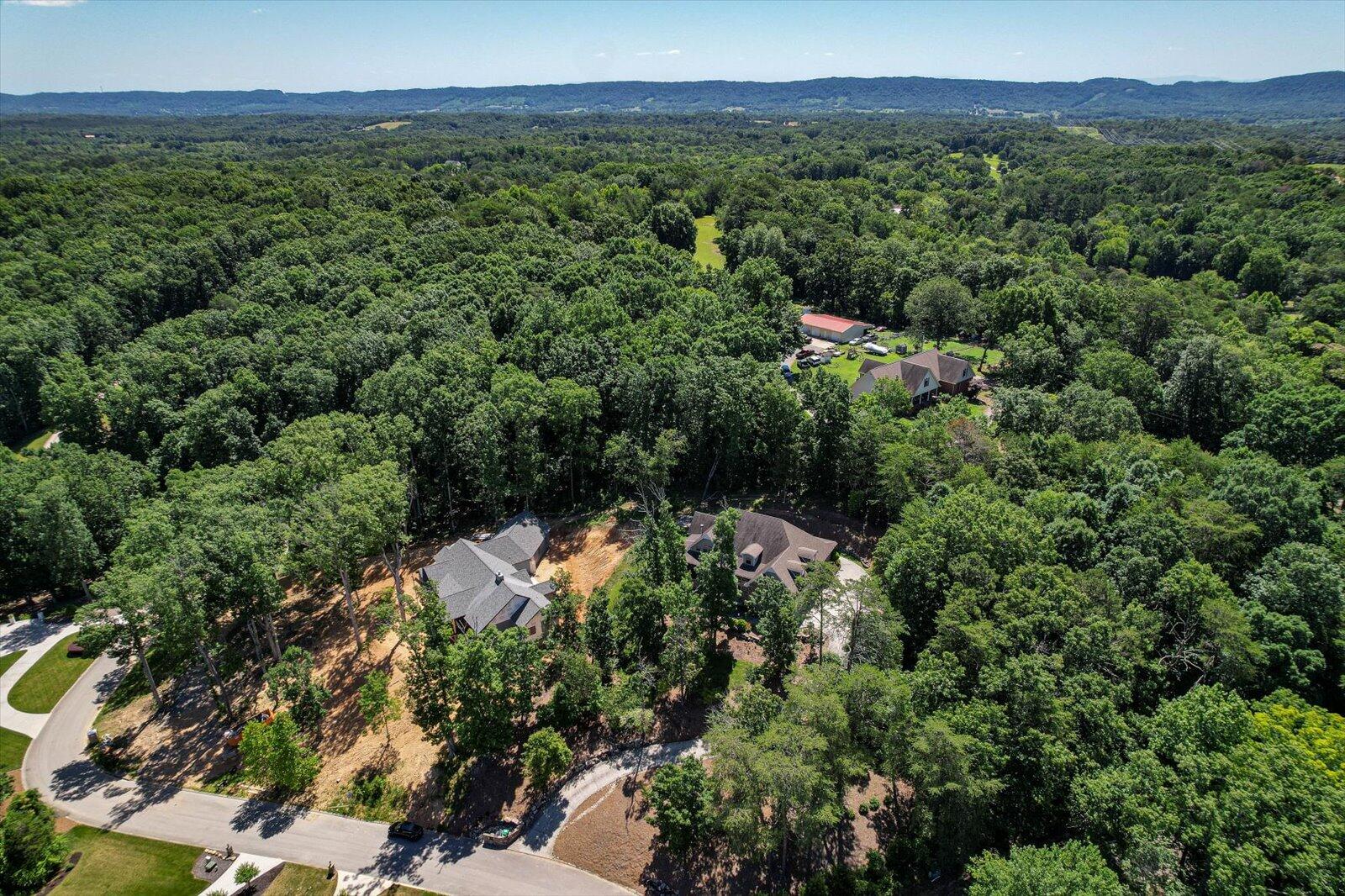 9612 Caseview Drive Harrison, TN 37341 - Photo 57 of 58 57-9612 Caseview Dr-56