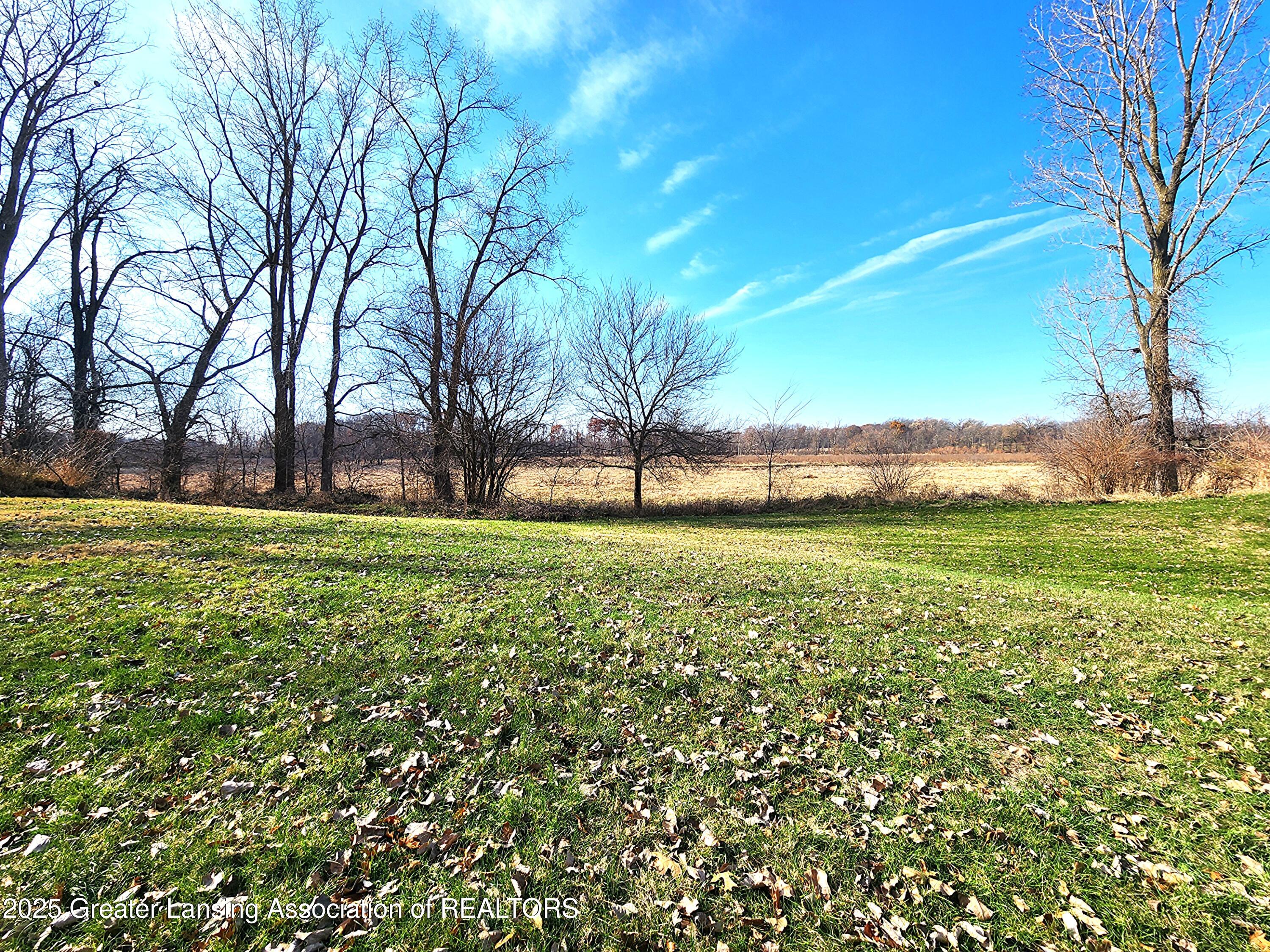 1451 25 Mile Road Homer, MI 49245 - Photo 25 of 27 View to rear field (2)