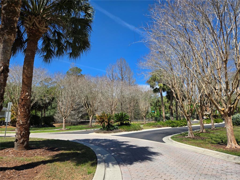 6714 Southwest 40 Terrace Gainesville, FL 32608 - Photo 3 of 59