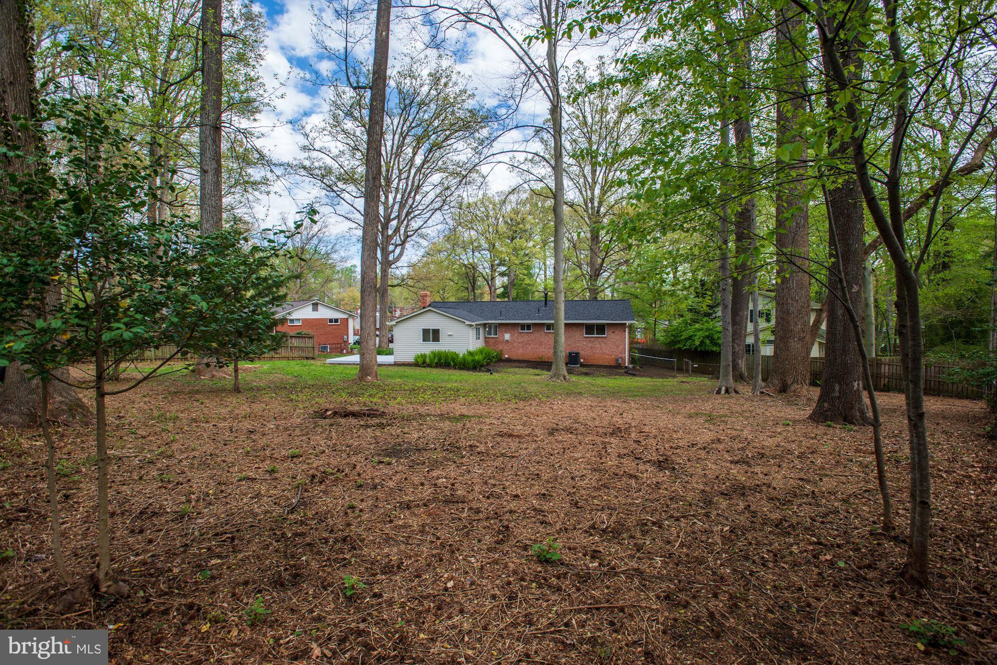 8820 Trafalgar Court Springfield, VA 22151 - Photo 7 of 51 Exterior-Rear-Wooded Lot