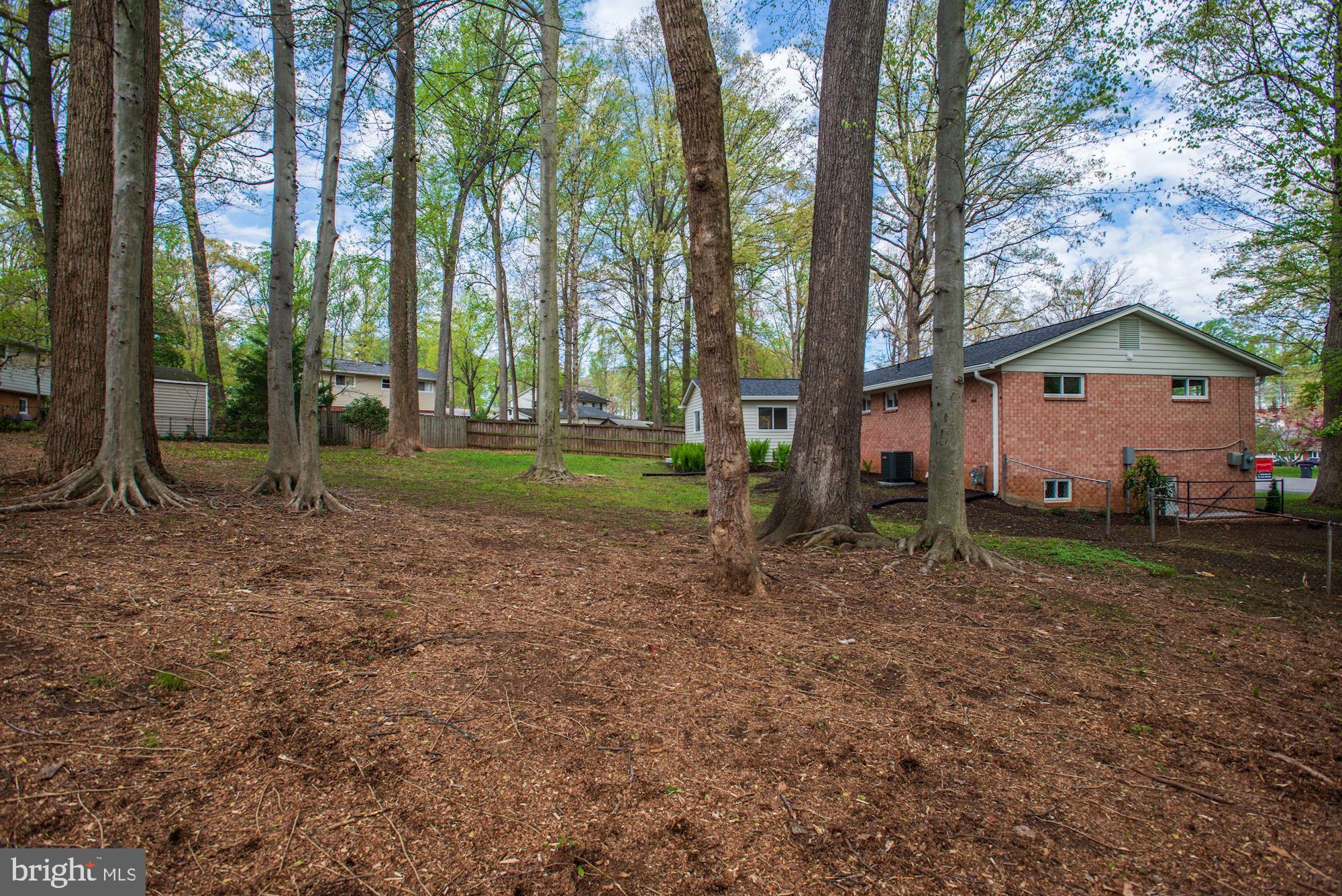8820 Trafalgar Court Springfield, VA 22151 - Photo 9 of 51 Exterior-Rear Wooded Lot