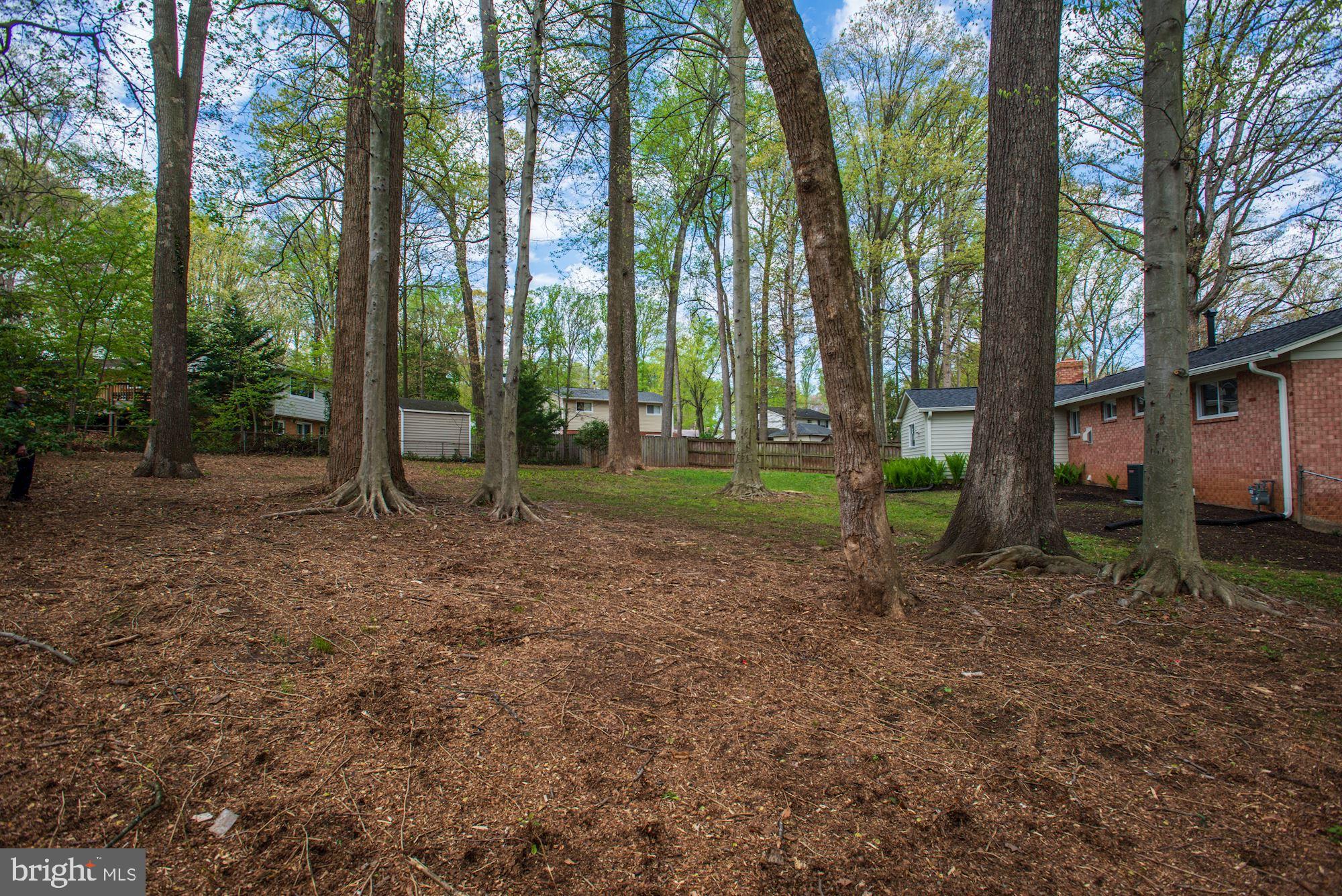 8820 Trafalgar Court Springfield, VA 22151 - Photo 10 of 51 Exterior-Rear-Wooded Lot